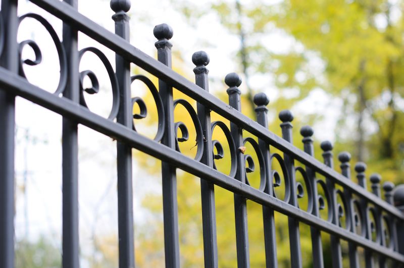 Wrought Iron Fence Cleaning