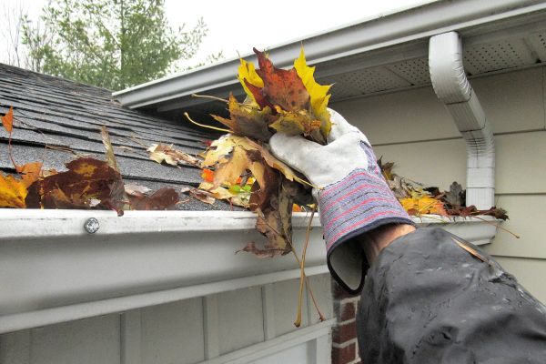 Eaves Cleaning in Cedar Park