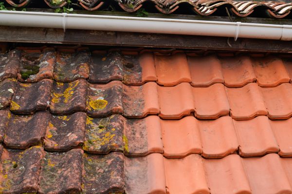 Industrial Roof Cleaning in Cedar Park